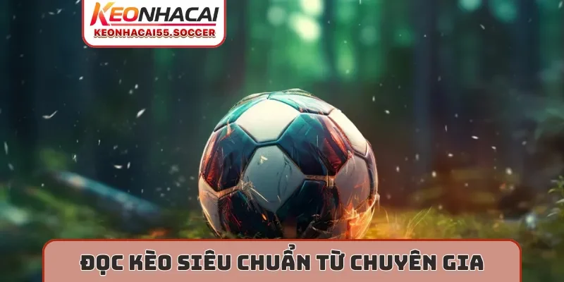Đọc kèo siêu chuẩn từ chuyên gia