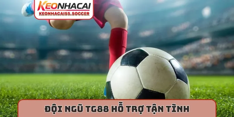 Đội ngũ TG88 hỗ trợ tận tình
