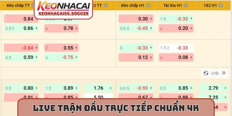Live trận đấu trực tiếp chuẩn 4K
